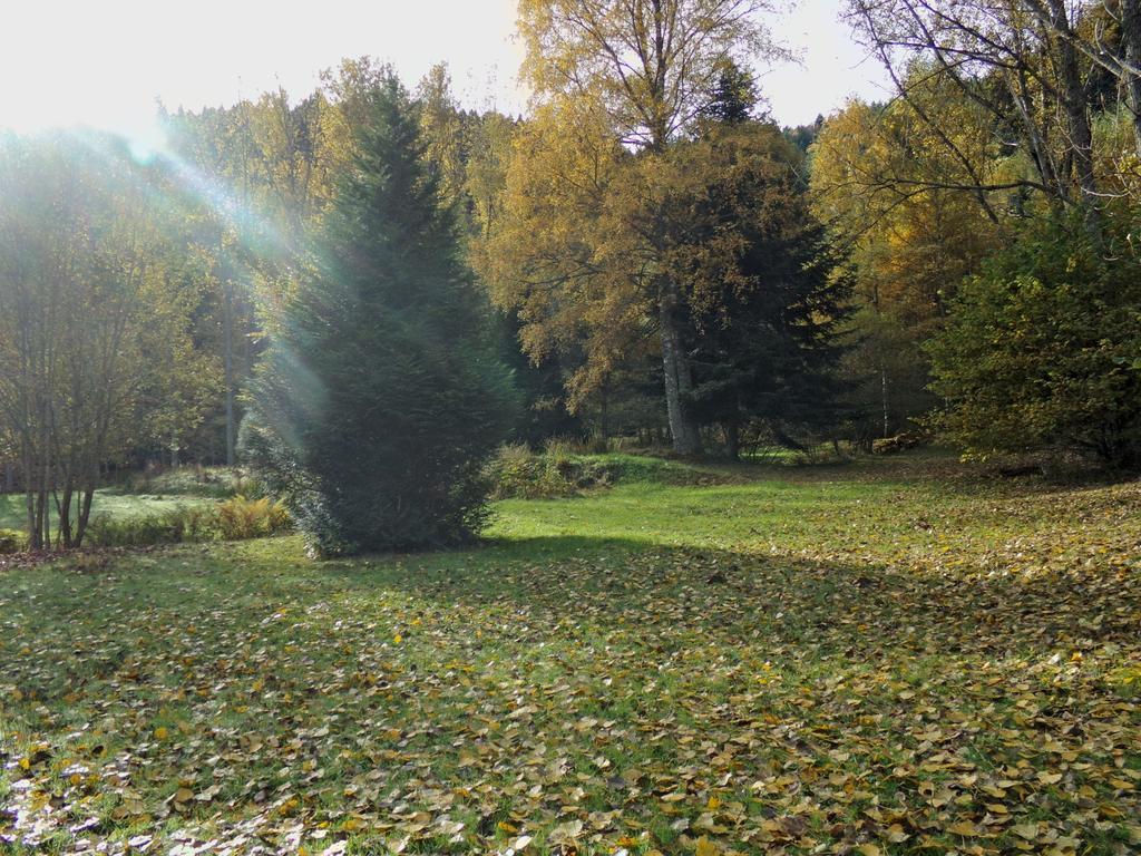 Hotel-Spa & Restaurant Logis Domaine Langmatt 뮈르바흐 외부 사진