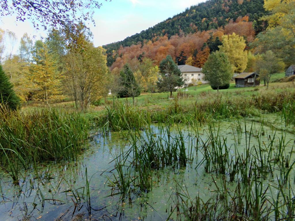 Hotel-Spa & Restaurant Logis Domaine Langmatt 뮈르바흐 외부 사진
