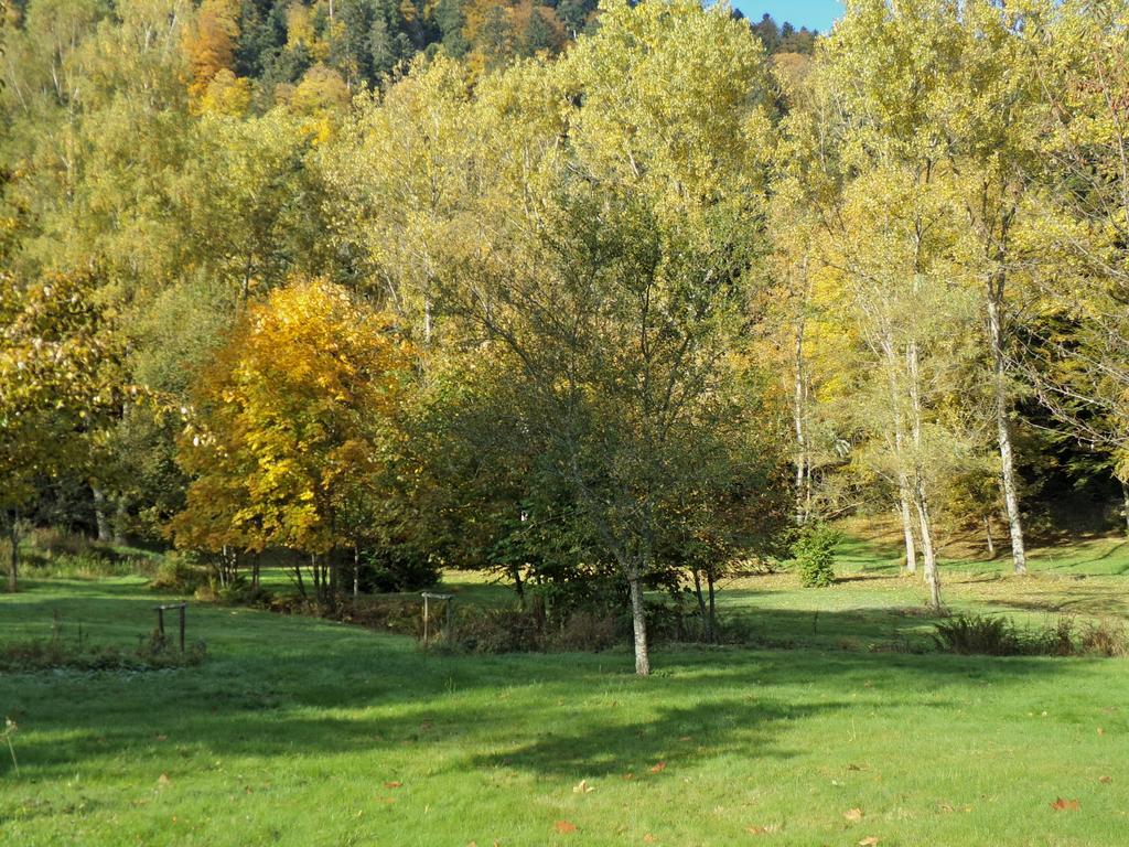 Hotel-Spa & Restaurant Logis Domaine Langmatt 뮈르바흐 외부 사진